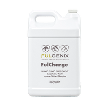 Load image into Gallery viewer, FulGenix FulCharge