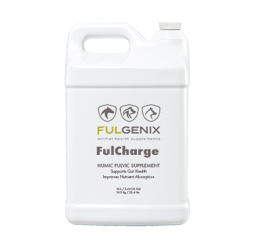 FulGenix FulCharge